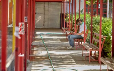 Organizaciones por la exclusión escolar: “Los necesitamos. Este no puede ser un trabajo de Llanero Solitario”. 